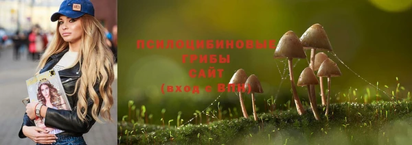 ПСИЛОЦИБИНОВЫЕ ГРИБЫ Алексин