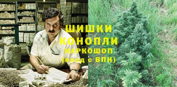 ПСИЛОЦИБИНОВЫЕ ГРИБЫ Алексин